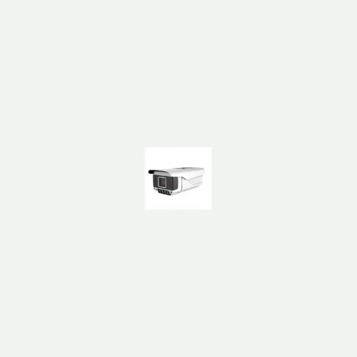 Security camera TL-4