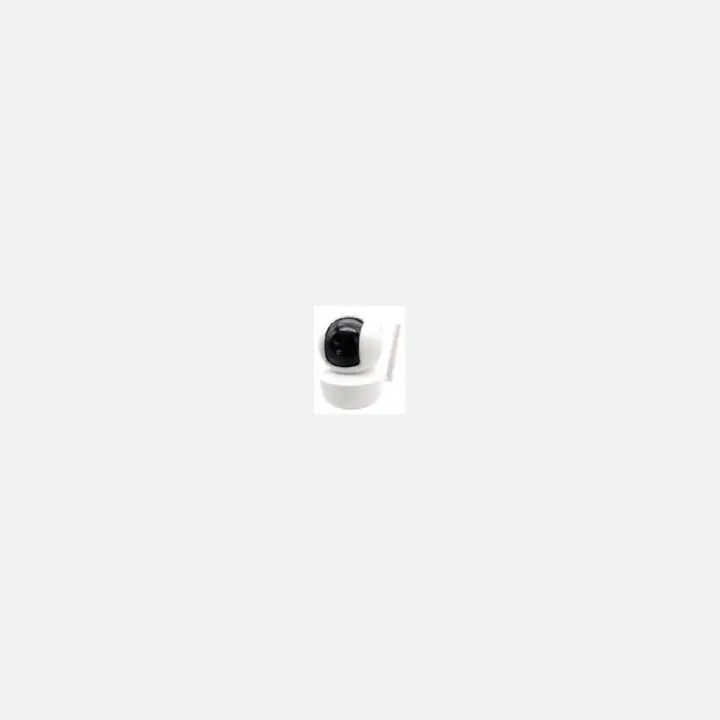 Security camera TL-5